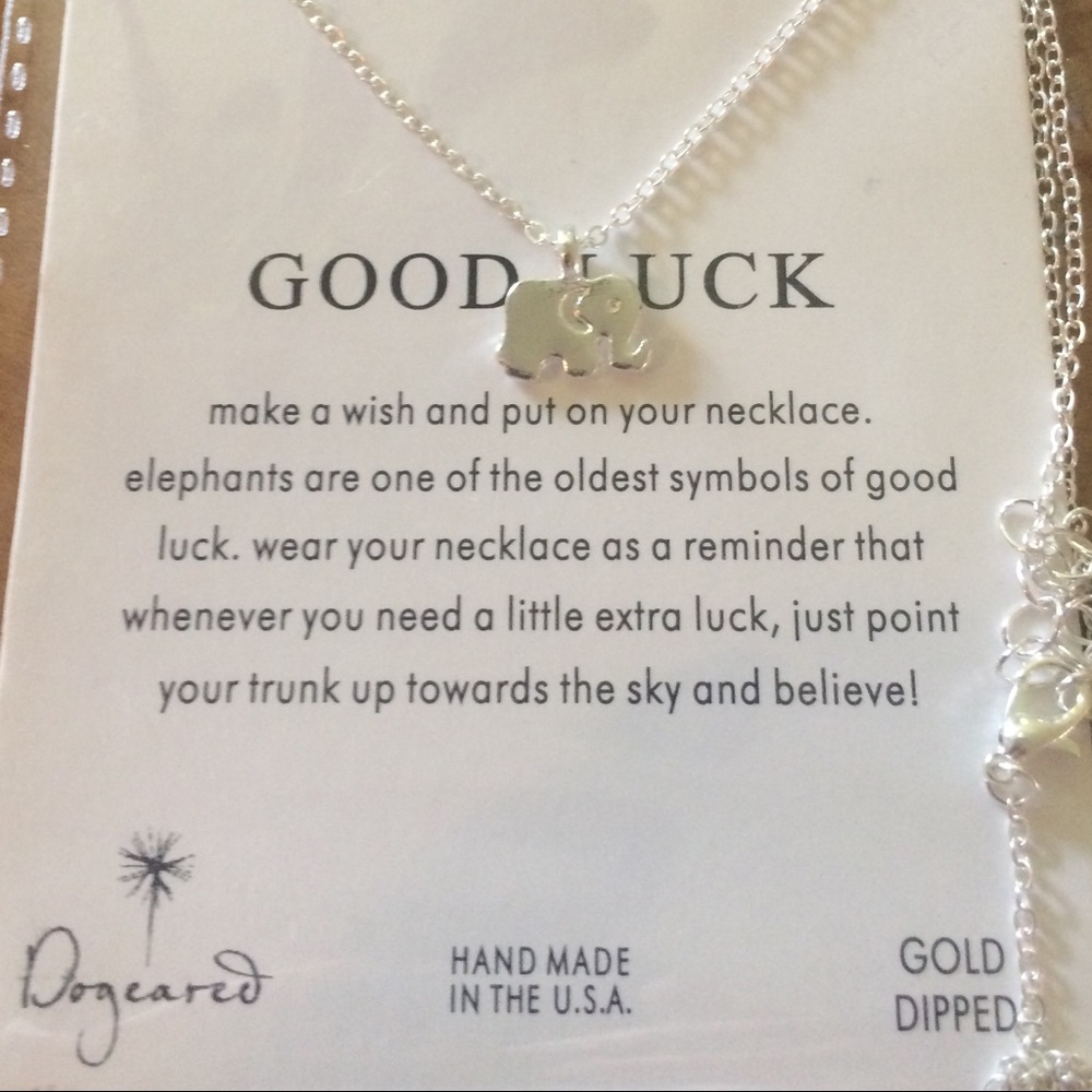 Good Luck Silver Necklace